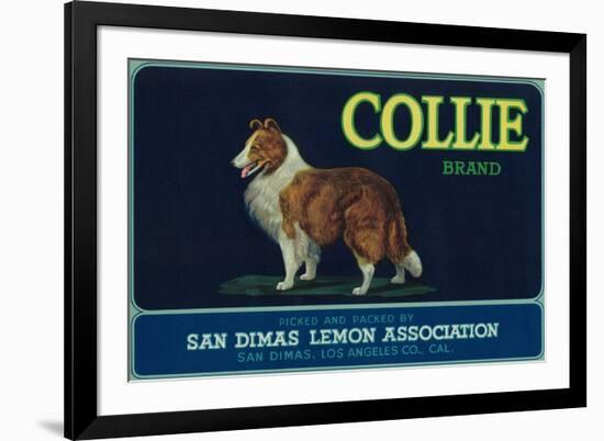 Collie Lemon Label - San Dimas, CA-Lantern Press-Framed Premium Giclee Print