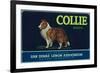 Collie Lemon Label - San Dimas, CA-Lantern Press-Framed Premium Giclee Print