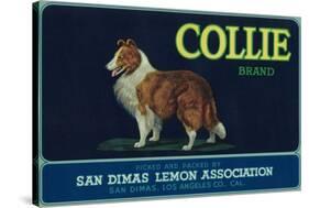 Collie Lemon Label - San Dimas, CA-Lantern Press-Stretched Canvas