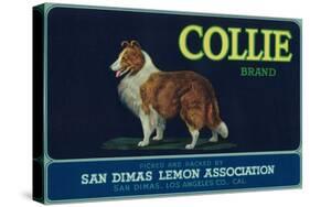 Collie Lemon Label - San Dimas, CA-Lantern Press-Stretched Canvas