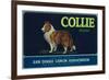 Collie Lemon Label - San Dimas, CA-Lantern Press-Framed Art Print