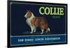 Collie Lemon Label - San Dimas, CA-Lantern Press-Framed Art Print