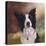 Collie Perdy-Karie-Ann Cooper-Stretched Canvas