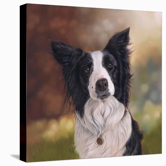 Collie Perdy-Karie-Ann Cooper-Stretched Canvas