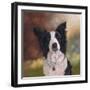 Collie Perdy-Karie-Ann Cooper-Framed Giclee Print