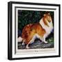 "Collie," September 11, 1943-Rutherford Boyd-Framed Giclee Print