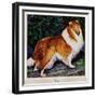 "Collie," September 11, 1943-Rutherford Boyd-Framed Giclee Print