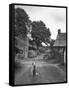 Collie Sheepdog Sitting in Road Leading Up Toward Castle Farm Owned by Beatrix Potter-George Rodger-Framed Stretched Canvas