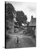 Collie Sheepdog Sitting in Road Leading Up Toward Castle Farm Owned by Beatrix Potter-George Rodger-Stretched Canvas