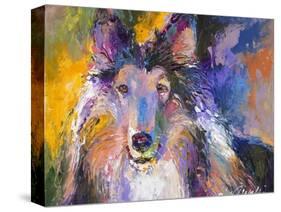 Collie-Richard Wallich-Stretched Canvas