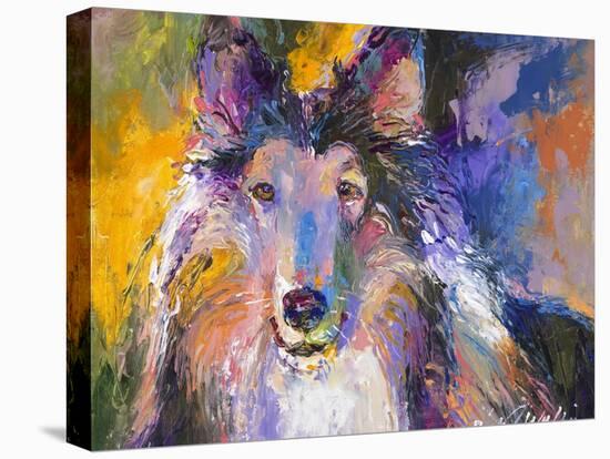 Collie-Richard Wallich-Stretched Canvas