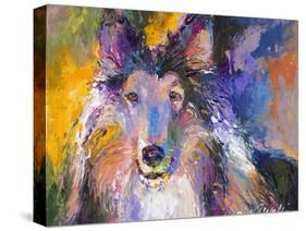 Collie-Richard Wallich-Stretched Canvas