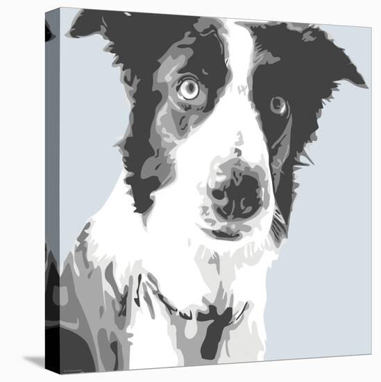 Collie-Emily Burrowes-Stretched Canvas