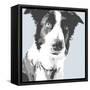 Collie-Emily Burrowes-Framed Stretched Canvas