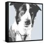 Collie-Emily Burrowes-Framed Stretched Canvas