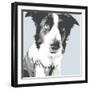 Collie-Emily Burrowes-Framed Art Print