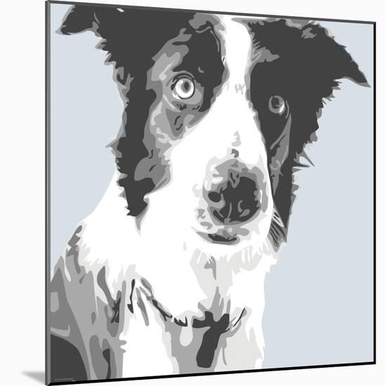 Collie-Emily Burrowes-Mounted Art Print