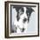 Collie-Emily Burrowes-Framed Art Print