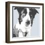 Collie-Emily Burrowes-Framed Art Print