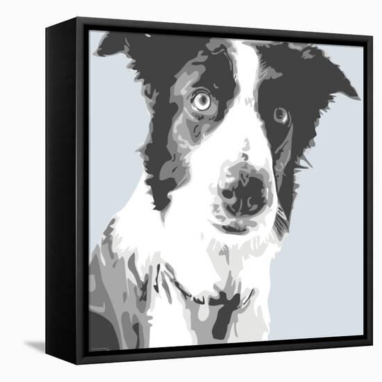 Collie-Emily Burrowes-Framed Stretched Canvas