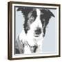 Collie-Emily Burrowes-Framed Premium Giclee Print