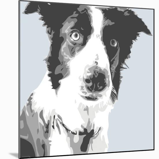 Collie-Emily Burrowes-Mounted Premium Giclee Print