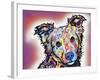 Collied-Dean Russo-Framed Giclee Print