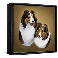 Collies 2-Jenny Newland-Framed Stretched Canvas