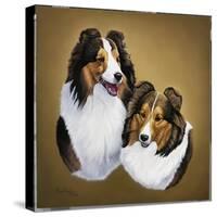 Collies 2-Jenny Newland-Stretched Canvas