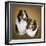 Collies 2-Jenny Newland-Framed Giclee Print