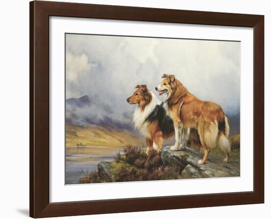 Collies in a Highland Landscape-Wright Barker-Framed Premium Giclee Print