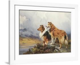 Collies in a Highland Landscape-Wright Barker-Framed Premium Giclee Print