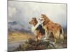 Collies in a Highland Landscape-Wright Barker-Mounted Premium Giclee Print