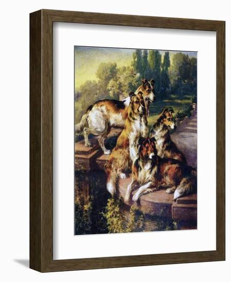 Collies-Edmund Henry Osthaus-Framed Giclee Print