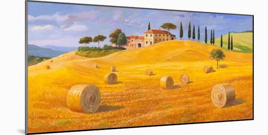 Colline in Toscana-Adriano Galasso-Mounted Art Print