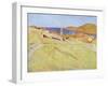 Collioure Landscape-Georges Daniel De Monfreid-Framed Giclee Print