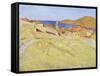 Collioure Landscape-Georges Daniel De Monfreid-Framed Stretched Canvas
