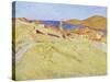 Collioure Landscape-Georges Daniel De Monfreid-Stretched Canvas