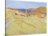 Collioure Landscape-Georges Daniel De Monfreid-Stretched Canvas