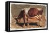 Colman Color Study of Cows I-Samuel Colman-Framed Stretched Canvas