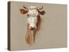Colman Cow Portrait Study I-Samuel Colman-Stretched Canvas