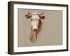 Colman Cow Portrait Study I-Samuel Colman-Framed Art Print