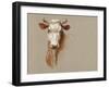 Colman Cow Portrait Study I-Samuel Colman-Framed Art Print