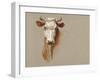 Colman Cow Portrait Study I-Samuel Colman-Framed Art Print