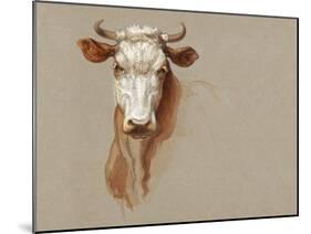 Colman Cow Portrait Study I-Samuel Colman-Mounted Art Print