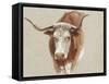 Colman Cow Portrait Study II-Samuel Colman-Framed Stretched Canvas