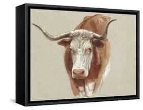 Colman Cow Portrait Study II-Samuel Colman-Framed Stretched Canvas