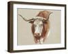 Colman Cow Portrait Study II-Samuel Colman-Framed Art Print