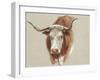 Colman Cow Portrait Study II-Samuel Colman-Framed Art Print