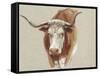 Colman Cow Portrait Study II-Samuel Colman-Framed Stretched Canvas